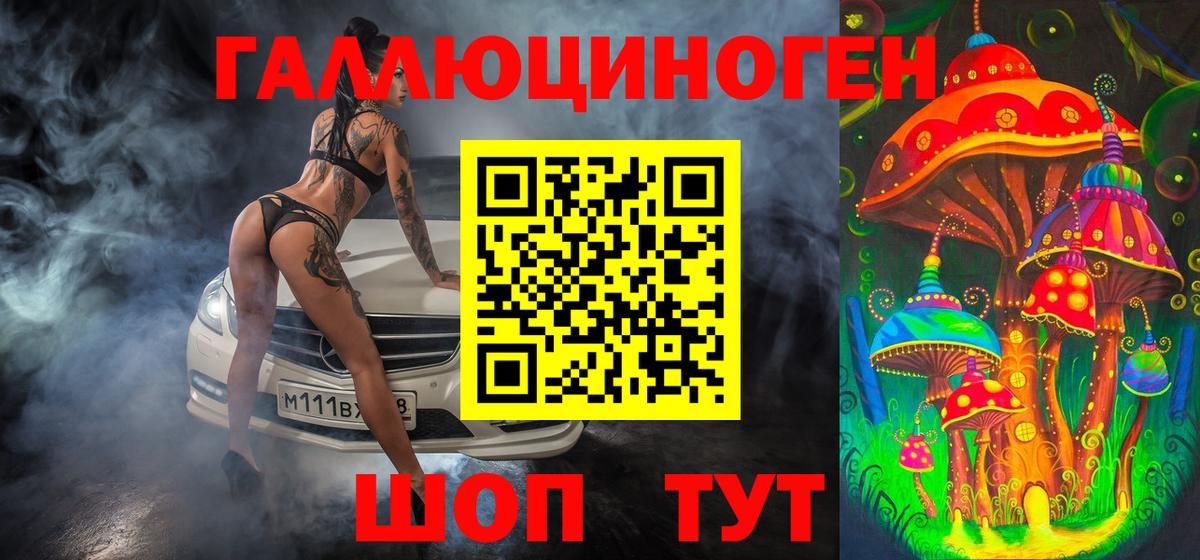 Псилоцибиновые грибы Magic Shrooms  Вход с VPN  Новодвинск  Псилоцибиновые грибы прущие грибы 