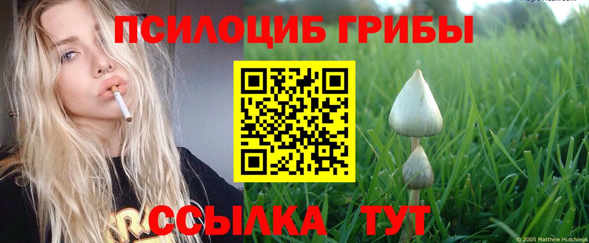 Новодвинск  Вход с VPN  Кетамин  Гашиш  Меф МЯУ МЯУ   MDMA  Гашиш  Конопля  COCAIN 